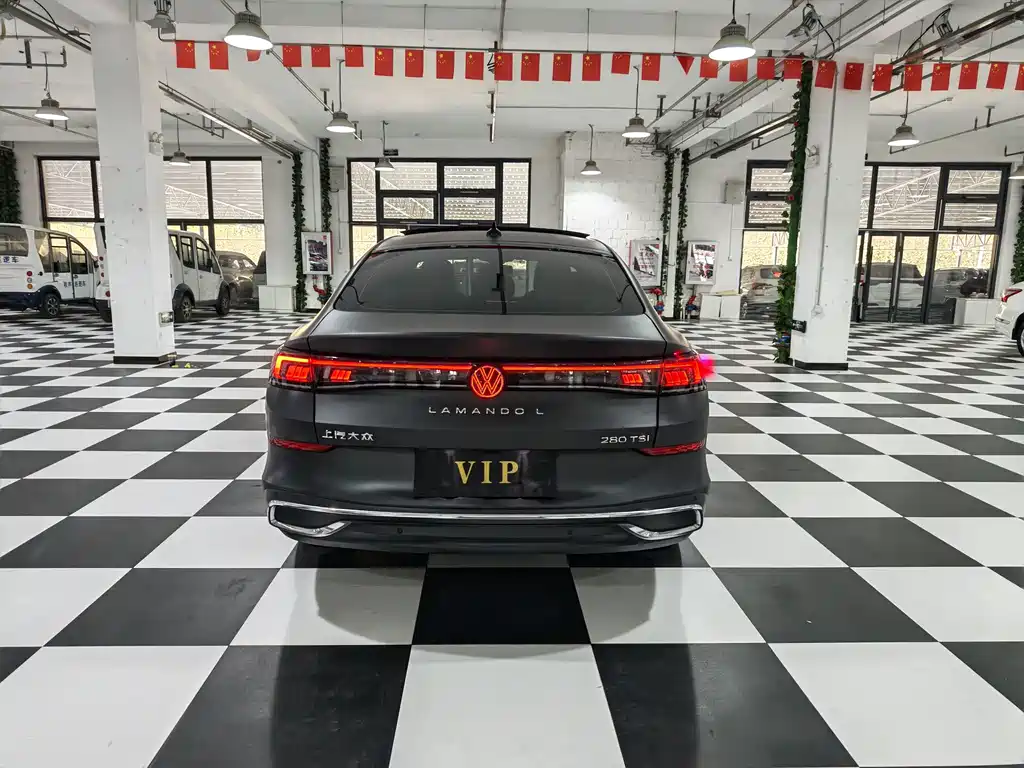Volkswagen Lamando — миниатюра 19