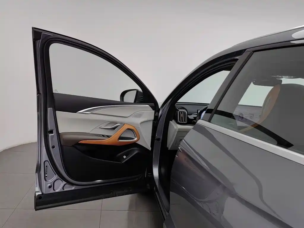 BYD Pro New Energy — миниатюра 8