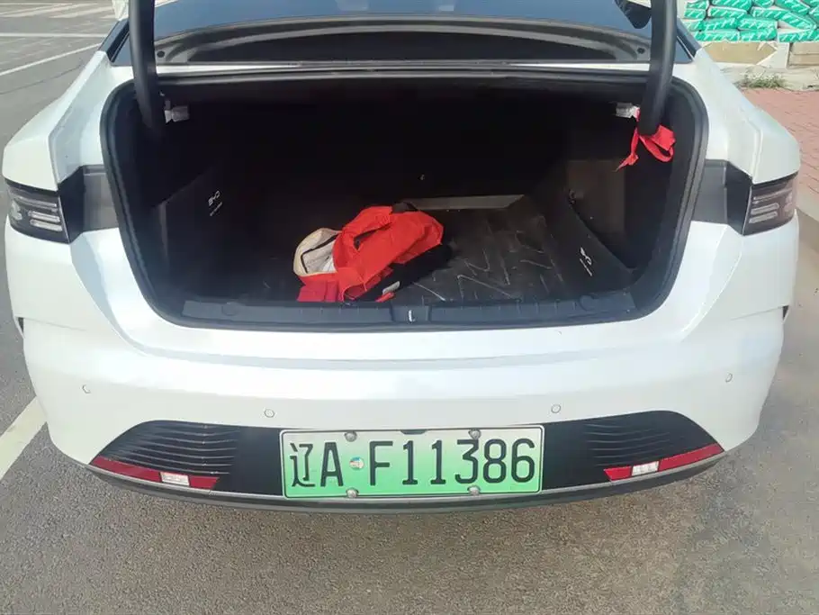 BYD Destroyer 05 2024 DM-i 55KM Luxury
