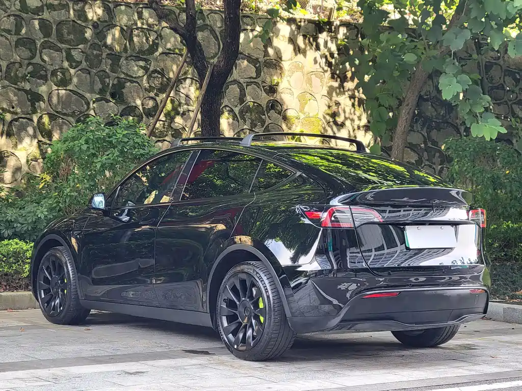 Tesla Model Y — миниатюра 16