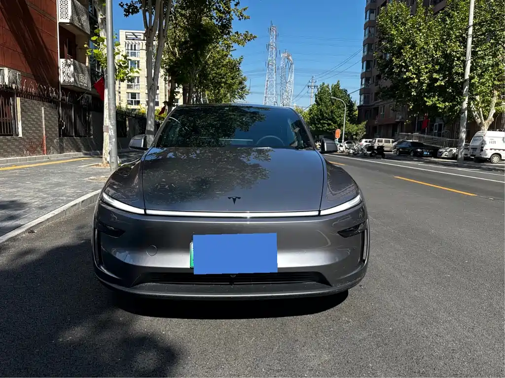 Tesla Model Y — миниатюра 2