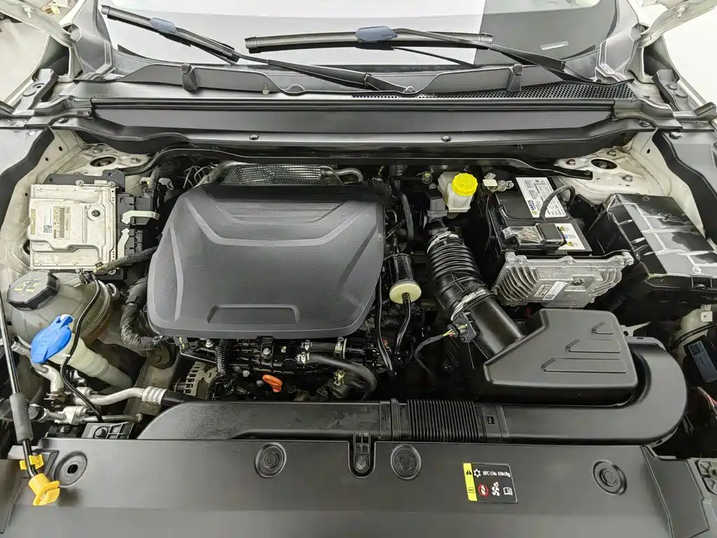 Haval Chitu — миниатюра 6
