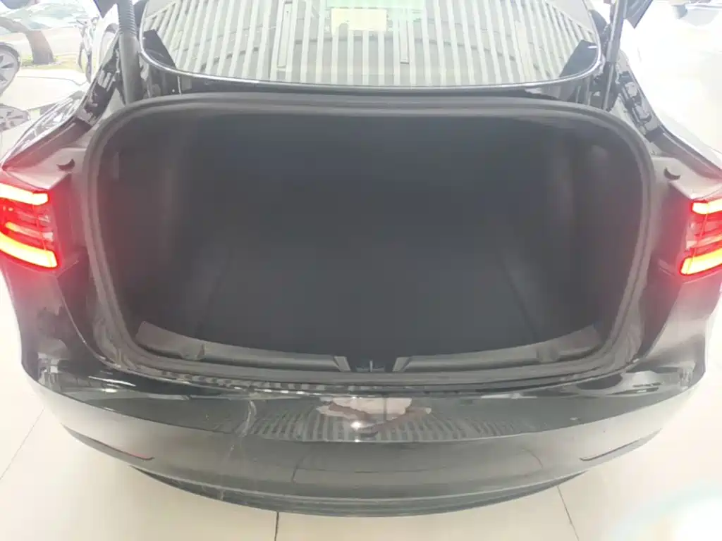 Tesla Model 3 — миниатюра 19