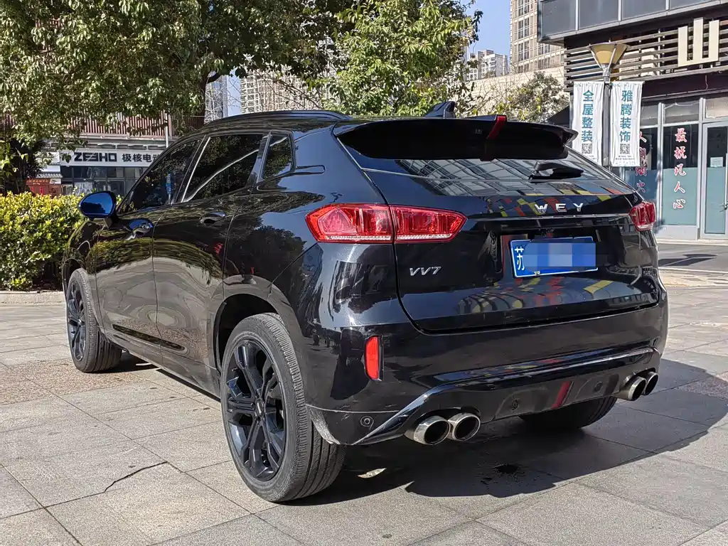 WEI PAI WEI BRAND VV7