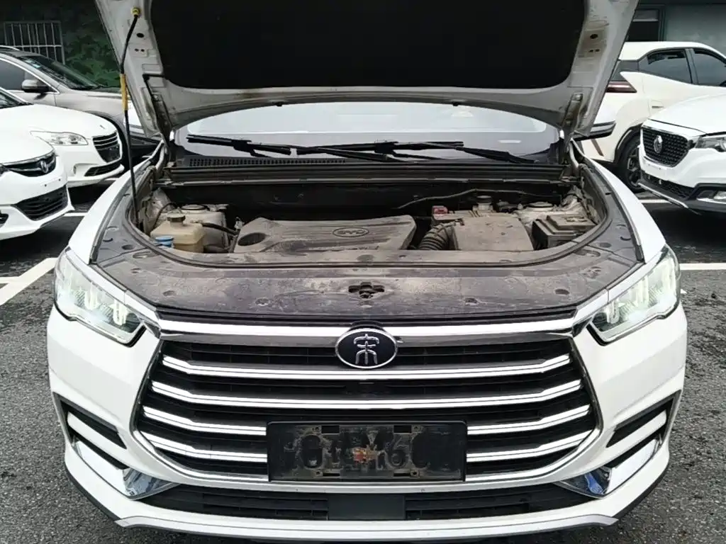 BYD Pro — миниатюра 20