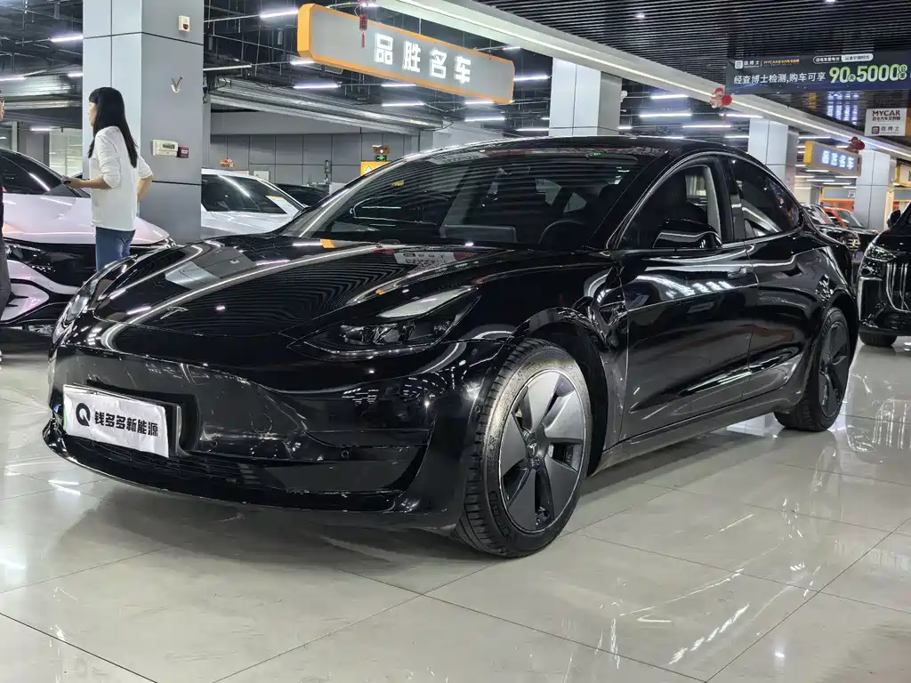 Tesla Model 3 2021