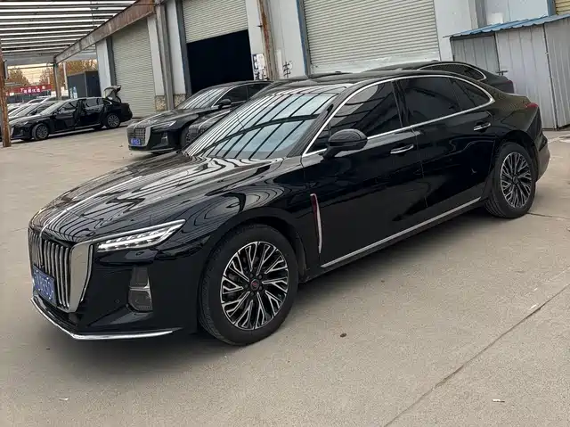 RED FLAG HONGQI H5 2025