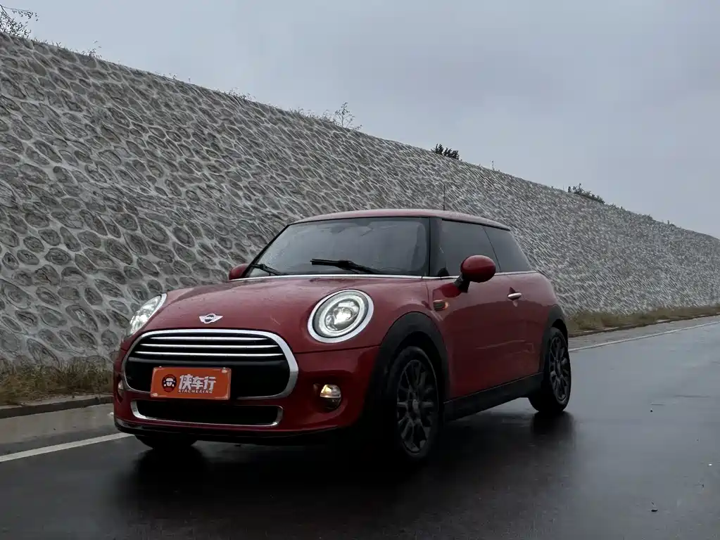 Mini Mini 2017