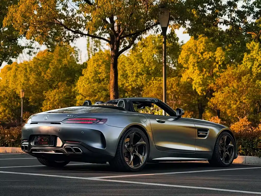 Mercedes-Benz A MG GT 2019 AMG GT C