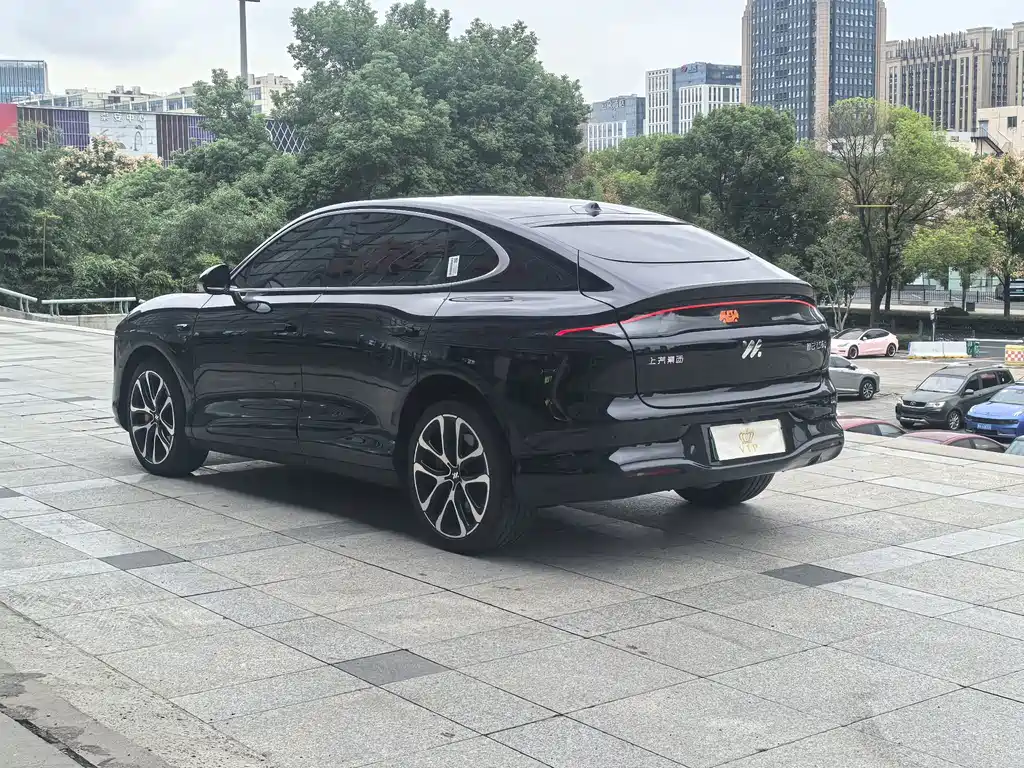 IM IM LS6 — миниатюра 12
