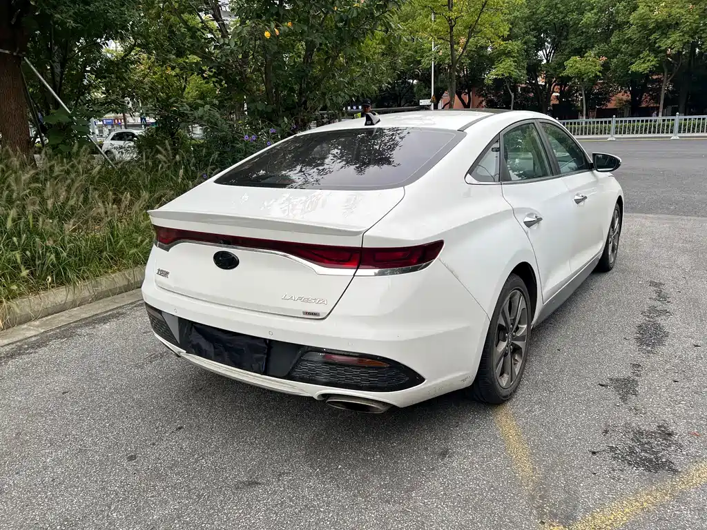 Hyundai Fista — миниатюра 7