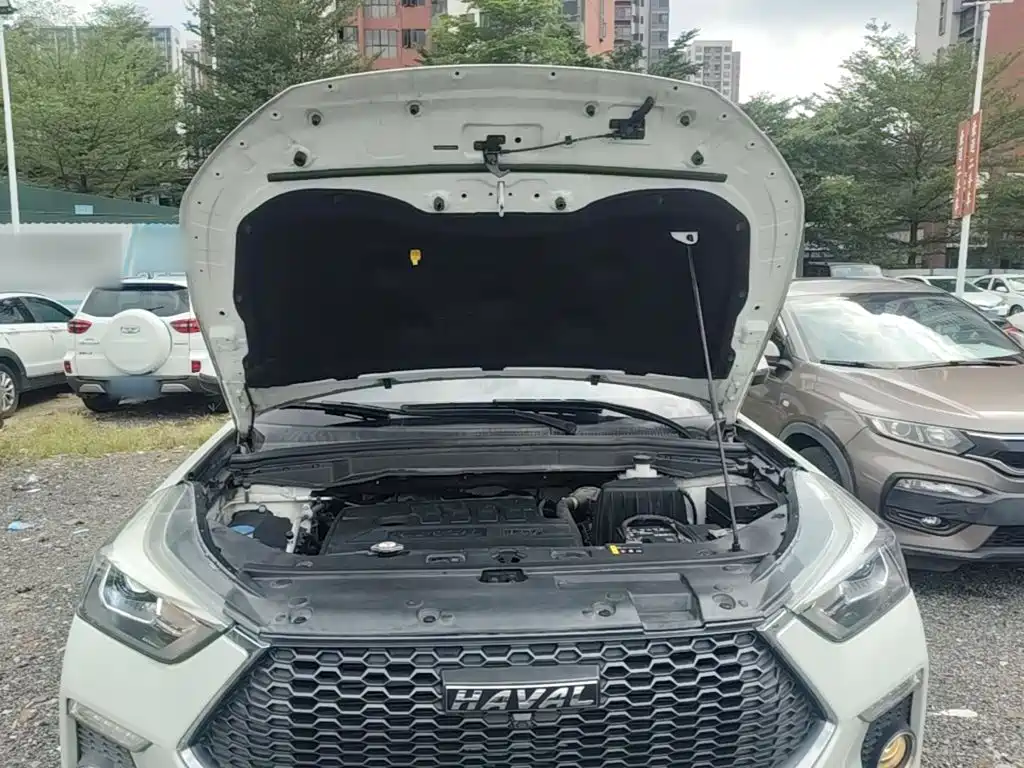 Haval H6 Coupe — миниатюра 20