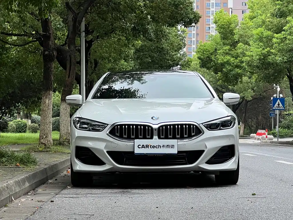 BMW 8 Series — миниатюра 2
