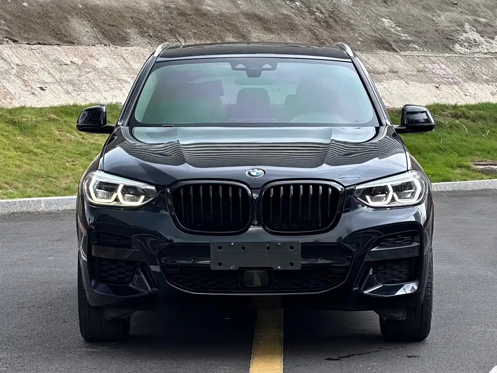 BMW X3 — миниатюра 2