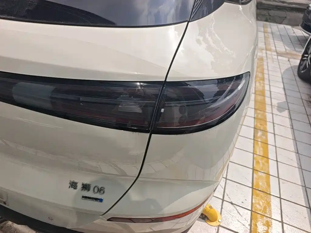 BYD Sea Lion 06 06 2025 DM-i 205 Pro