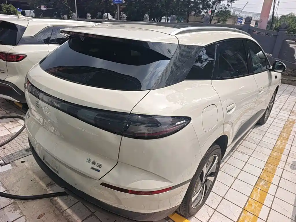BYD Sea Lion 06 06 2025 DM-i 205 Pro