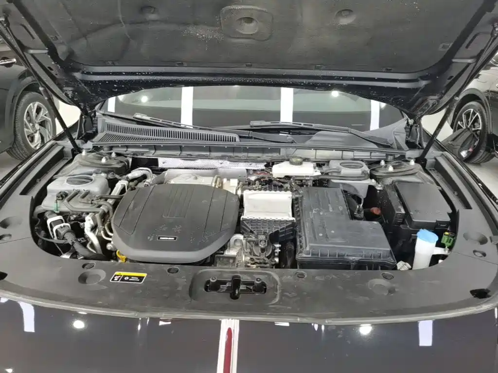 Hongqi Hongqi H5 PHEV — миниатюра 20