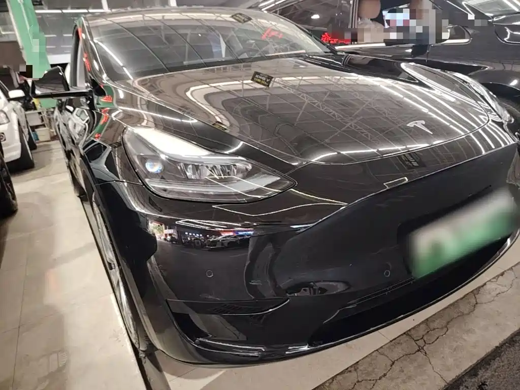 Tesla Model Y — миниатюра 4