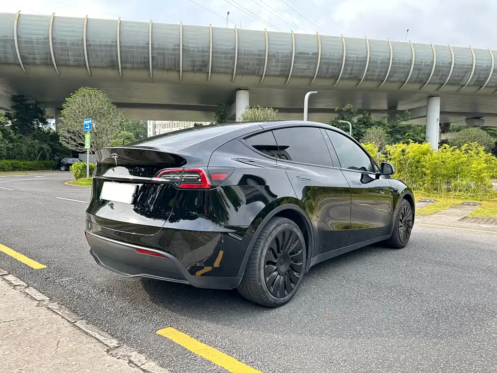 Tesla Model Y — миниатюра 6