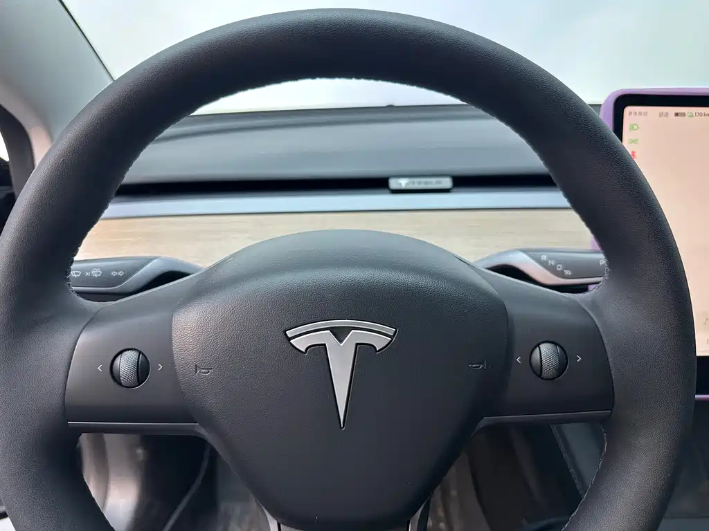 Tesla Model 3 — миниатюра 7
