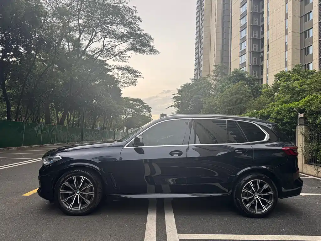 BMW  X5