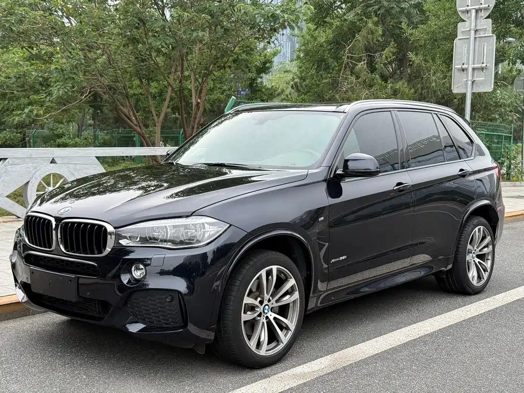 BMW X5( Import ) 2018 xDrive35i M Sport Type
