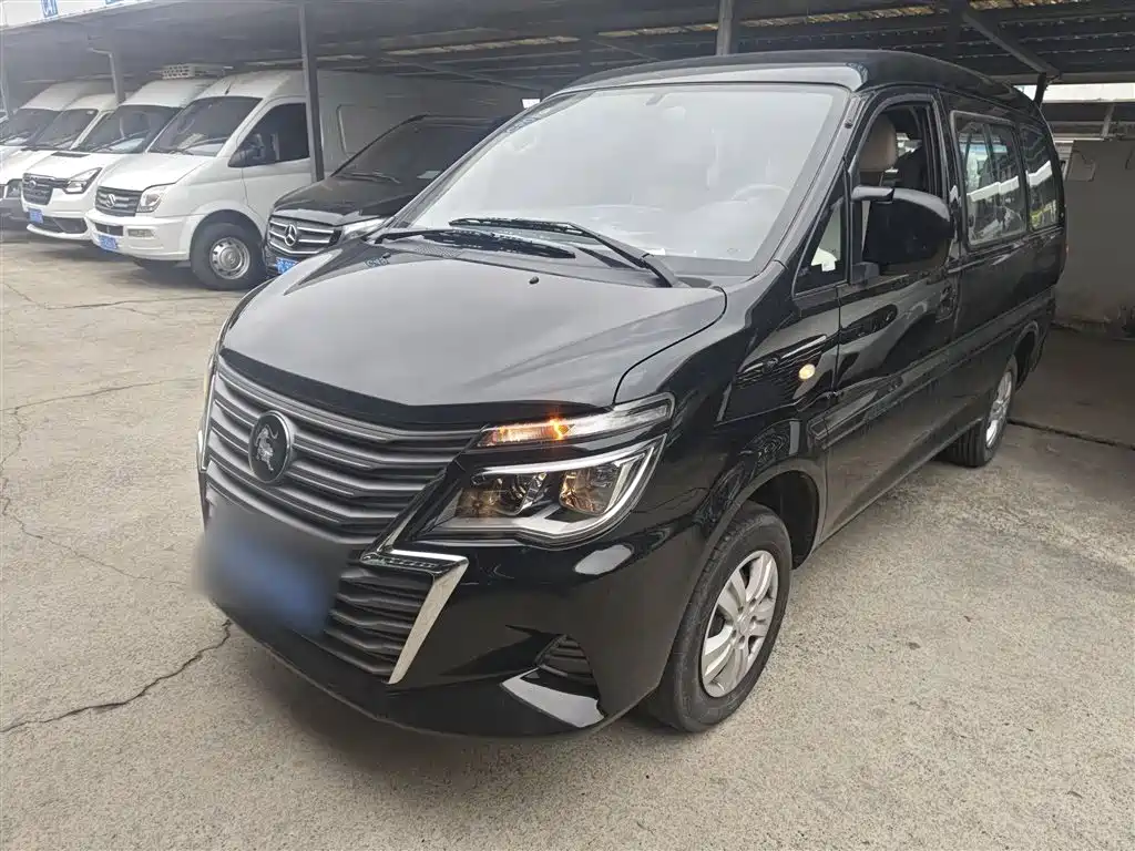 Fengxing Lingzhi 2024