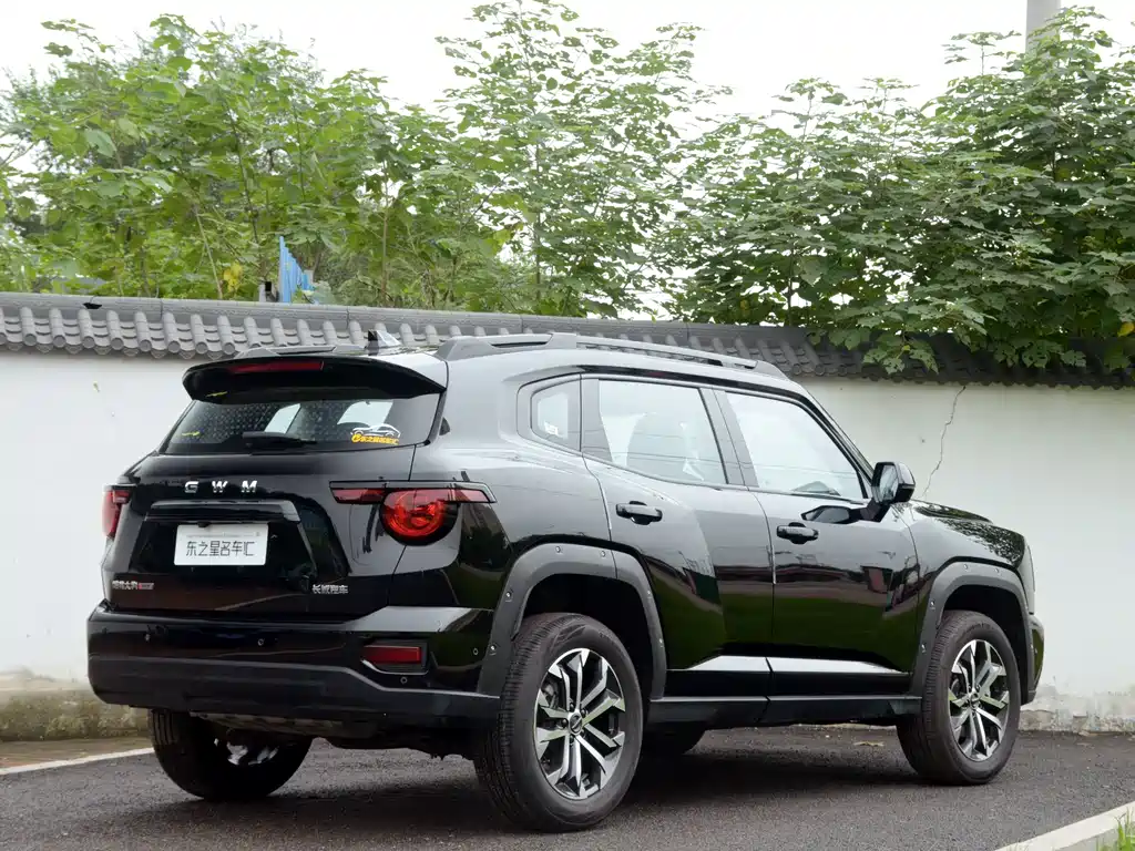 Haval Big Dog PLUS — миниатюра 6