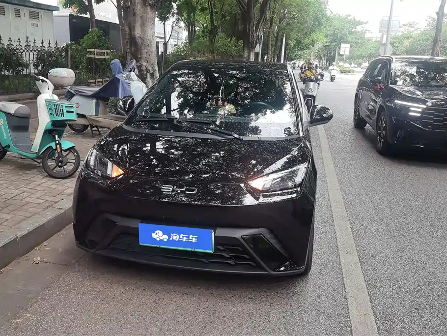 BYD Seagull 2024 405km Flying