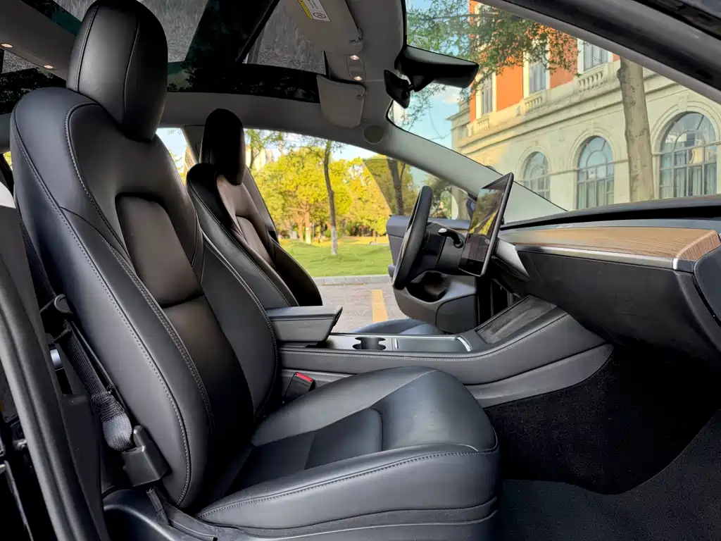 Tesla Model 3 — миниатюра 11