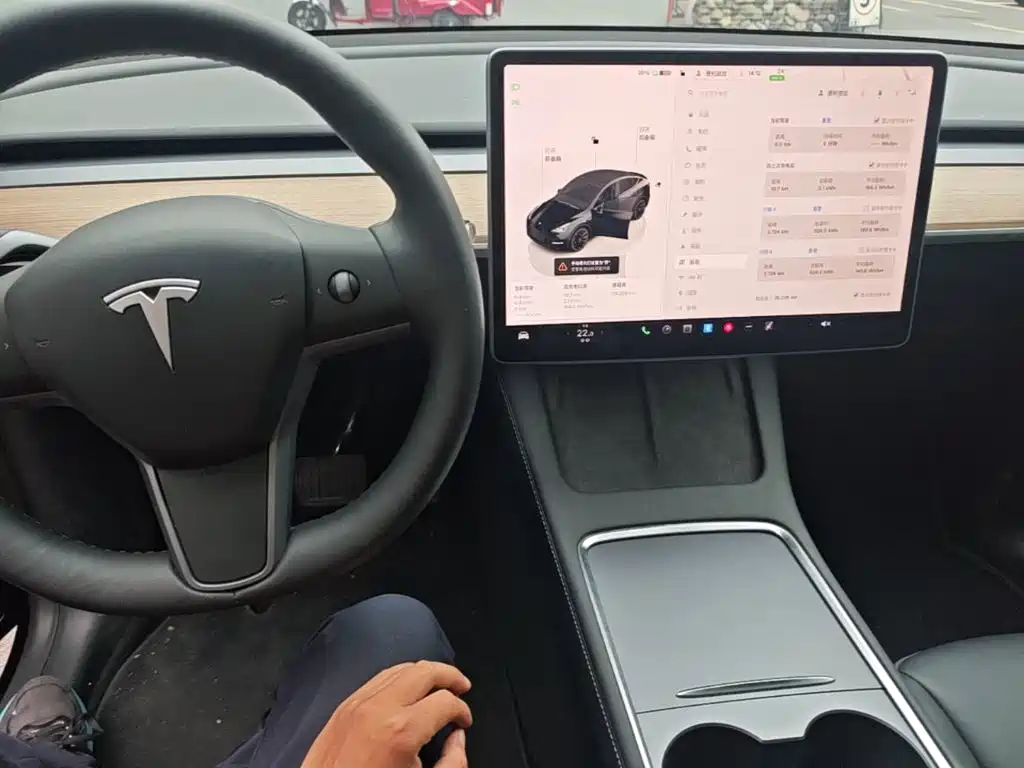 Tesla Model Y — миниатюра 10