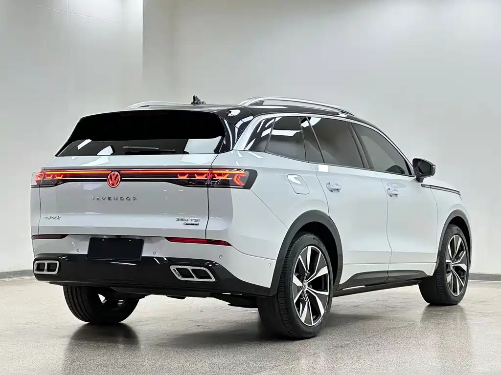 Volkswagen Tavendor — миниатюра 4