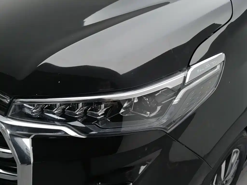 MAXUS G20 — миниатюра 7