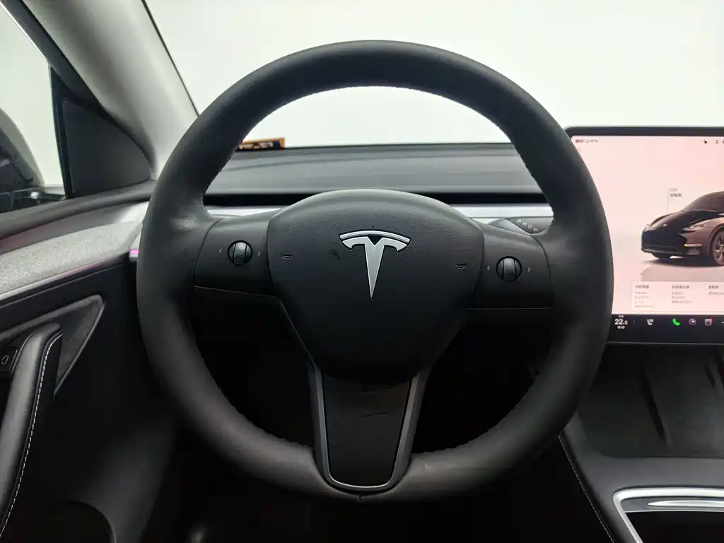 Tesla Model Y — миниатюра 4