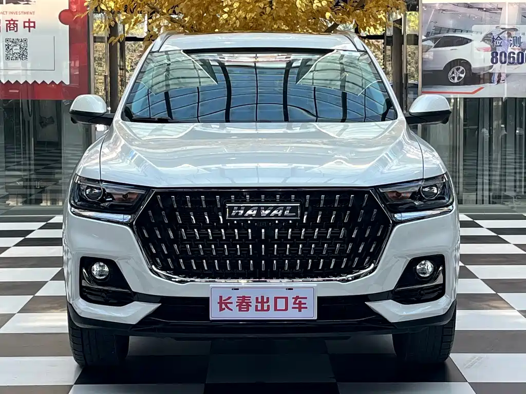Haval H6 — миниатюра 2