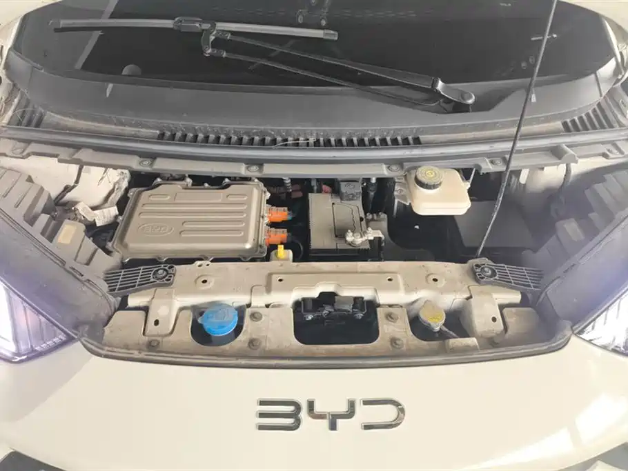 BYD Seagull 2024 305km Freedom