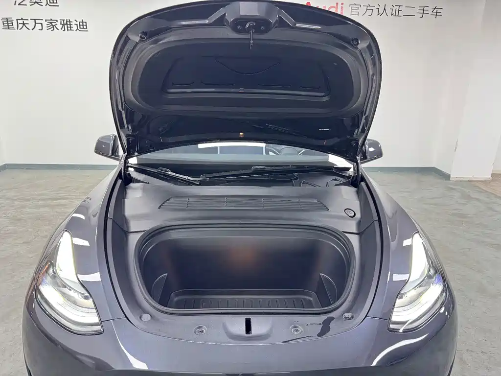 Tesla Model Y — миниатюра 19