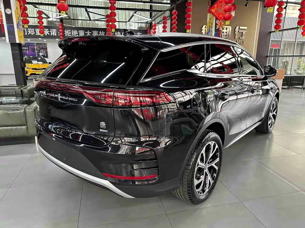 BYD Tang New Energy — миниатюра 7