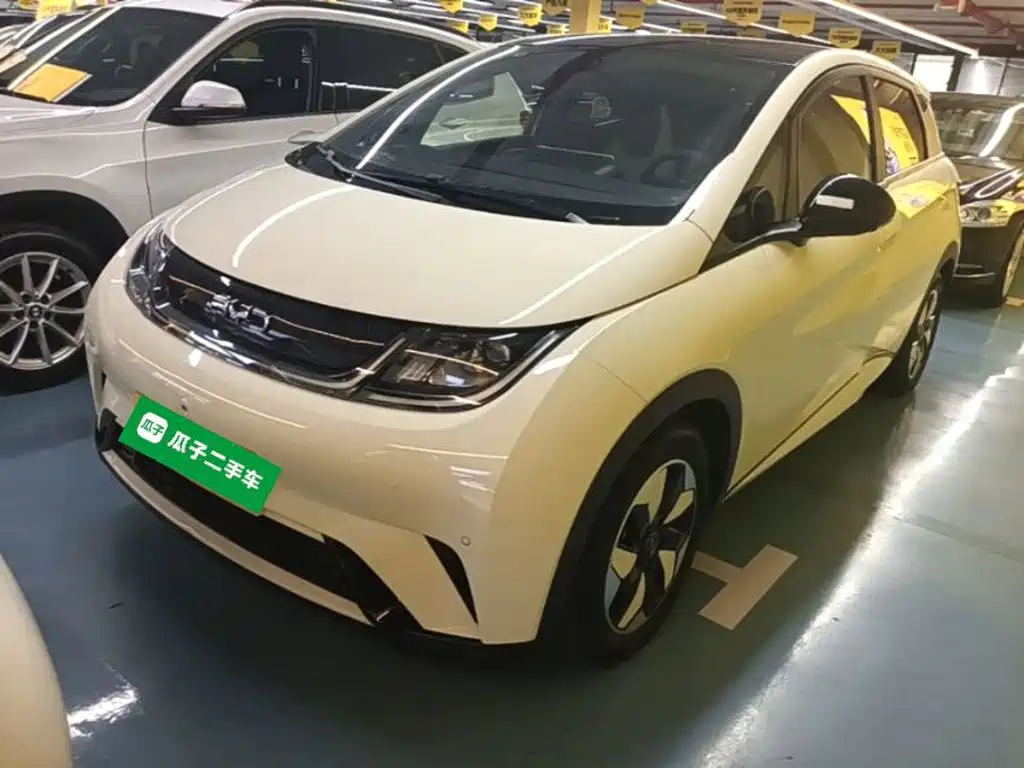 BYD Dolphin — миниатюра 2