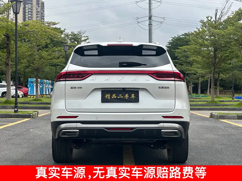 HAVAL  H6