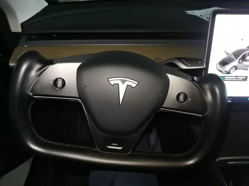 Tesla Model Y — миниатюра 11