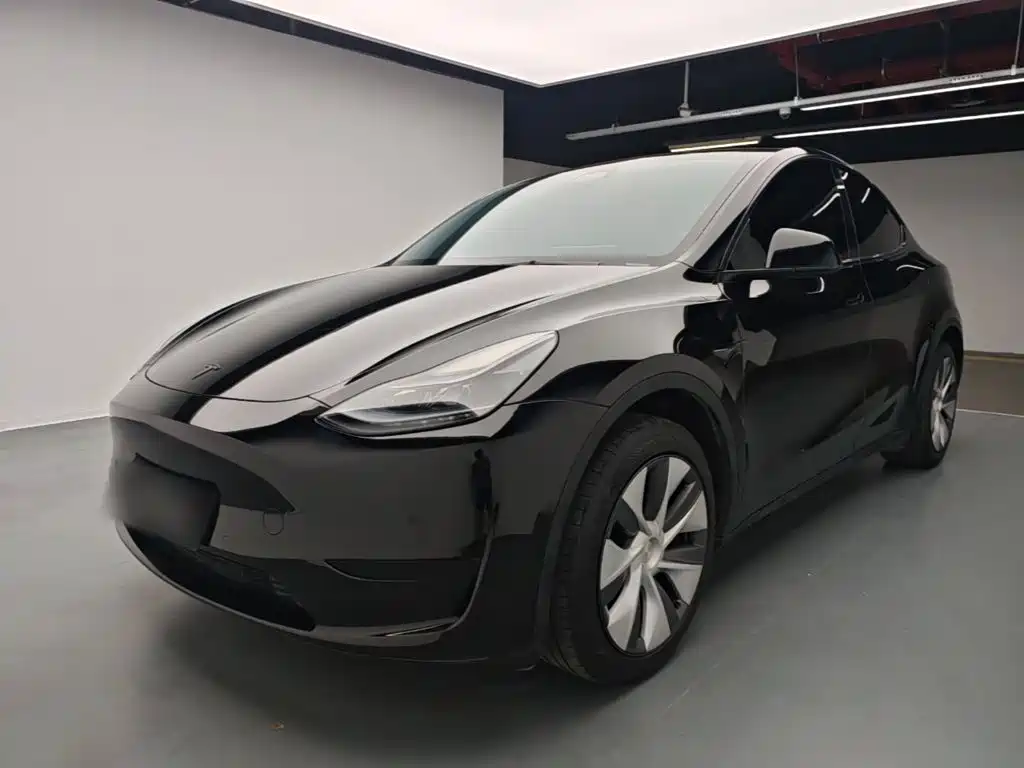 Tesla Model Y — миниатюра 2