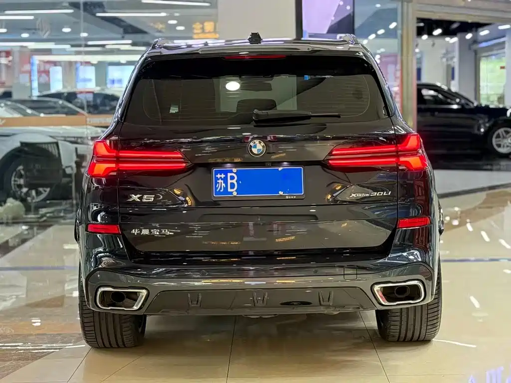 BMW X5 — миниатюра 4
