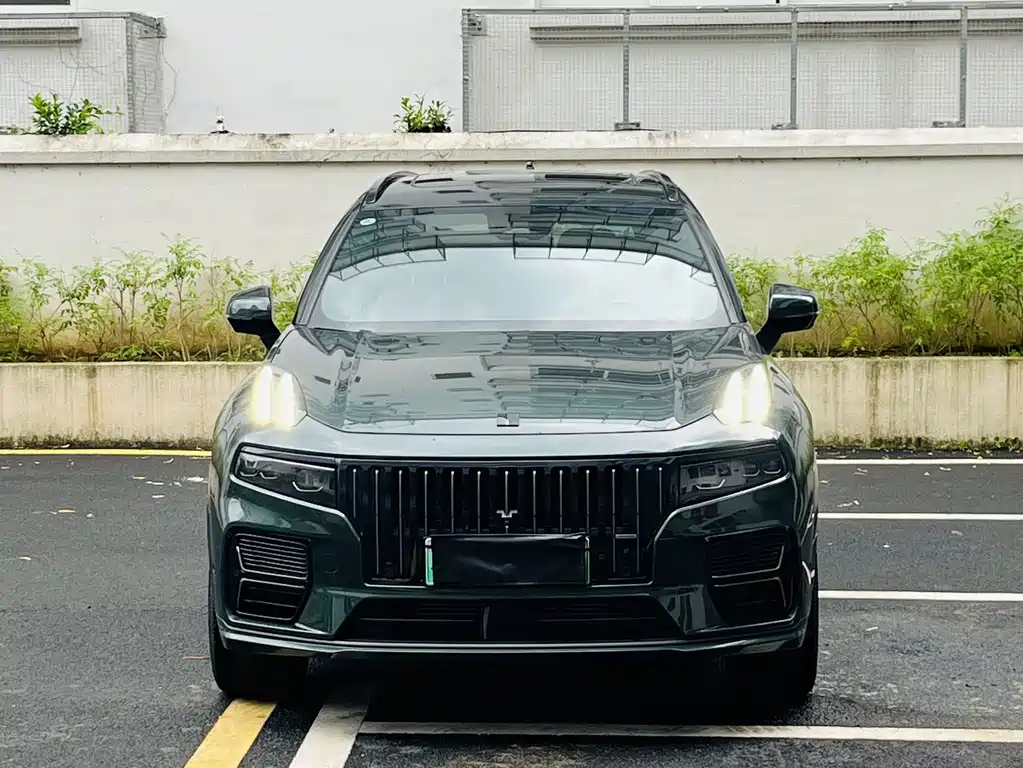 Lynk & Co 09 EM-P 2024 2.0TD EM-P ULTRA мест