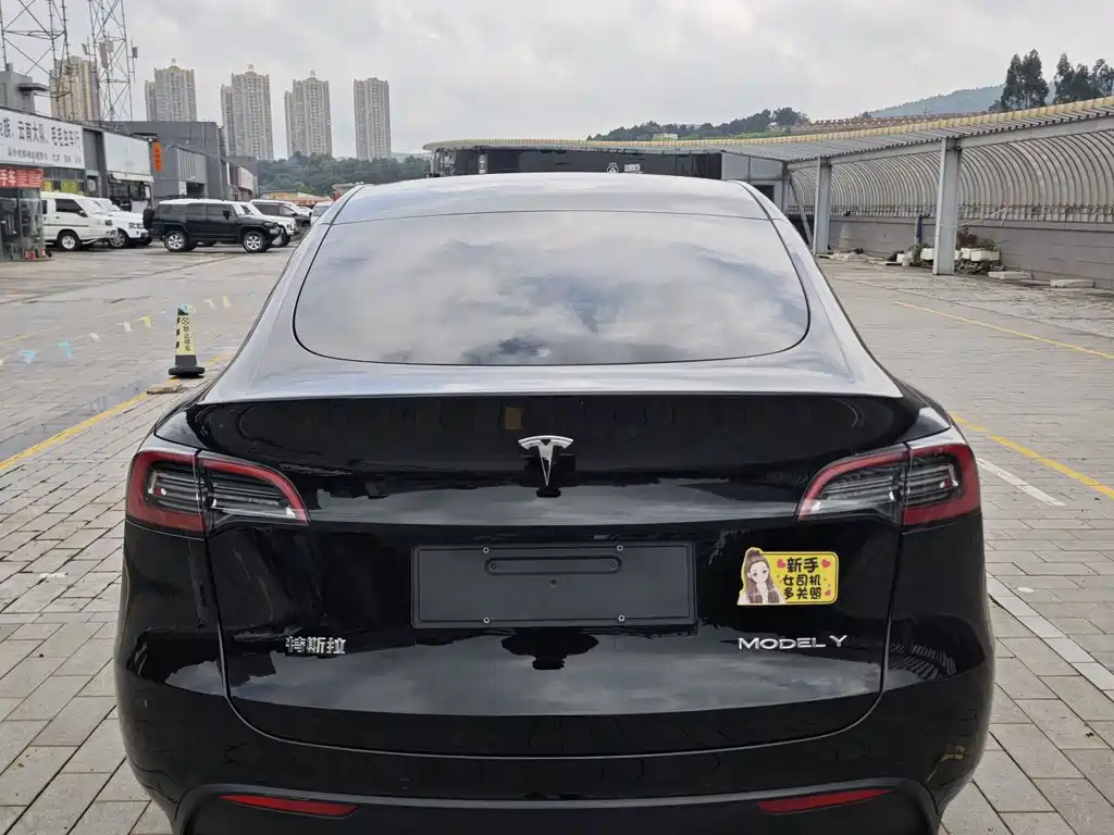 Tesla Model Y — миниатюра 7