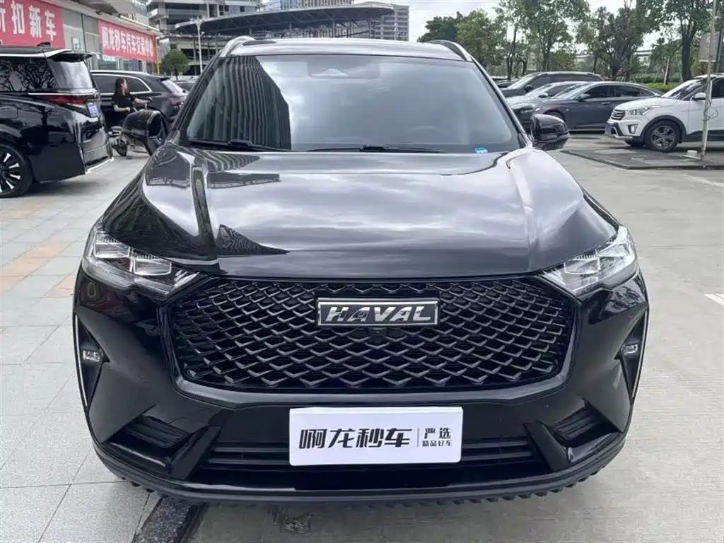 Haval H6 — миниатюра 2