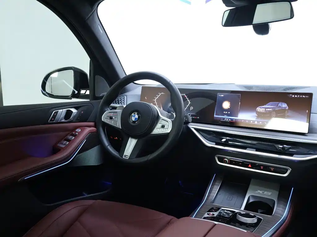 BMW X5 — миниатюра 14