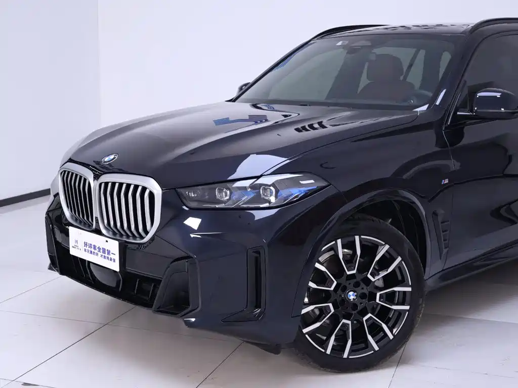 BMW X5 — миниатюра 3
