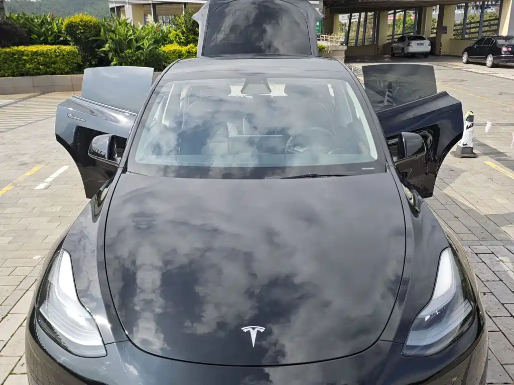 Tesla Model Y — миниатюра 14