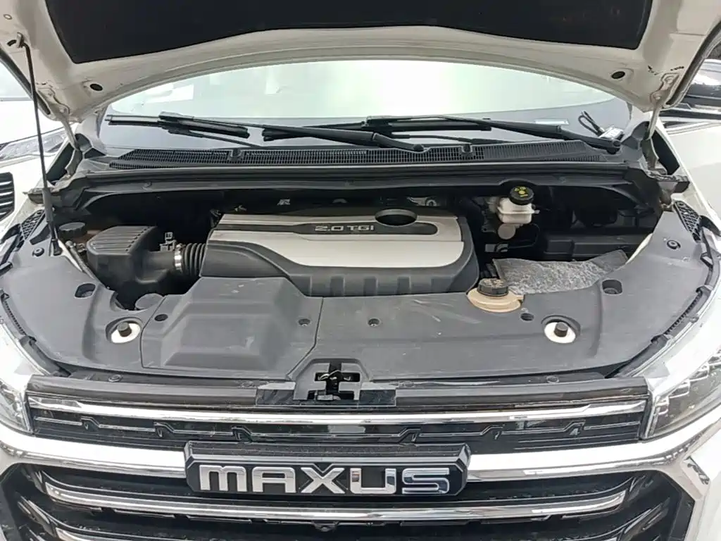 MAXUS G20 — миниатюра 20